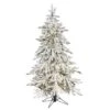 Nearly Natural 5-ft Flocked Grand Northern Rocky Fir Artificial Christmas Tree With 650 Warm Micro (Multifunction With Remote Control) LED Lights, Instant Connect Technology And 386 Bendable Branches