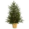 Nearly Natural 2.5-ft Christmas Tree W/Golden Planter, 50 Clear Lights & 119 Tips