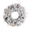 HomPlanti 20" Flocked Artificial Christmas Wreath With 35 Warm White LED Lights