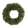 HomPlanti 24" White Mountain Pine Artificial Christmas Wreath With 35 LED Lights And Pinecones