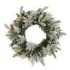 HomPlanti 20" Flocked Mixed Pine Artificial Christmas Wreath With 50 LED Lights, Pine Cones And Berries