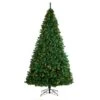 Nearly Natural 10-ft Northern Tip Artificial Christmas Tree With 800 Clear LED Lights And 2200 Bendable Branches Green